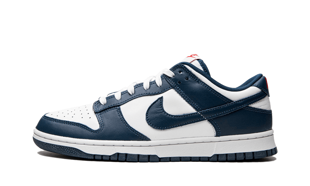 Dunk Low Valerian Blue