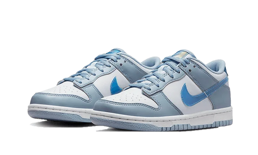 Nike Dunk Low Hologram