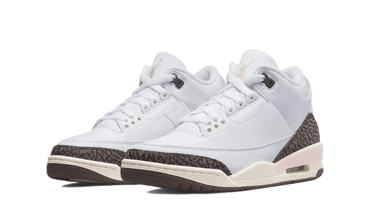 Air Jordan 3 Dark Mocha (Neapolitan)