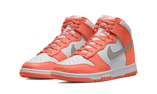 Dunk High Salmon Grey