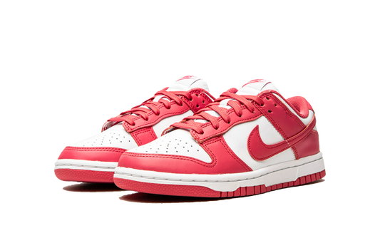 Dunk Low Archeo Pink - FashstoreCZ